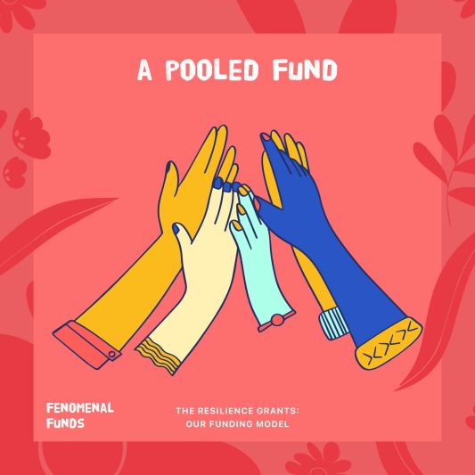 Fenomenal Funds graphics_Model_A pooled fund